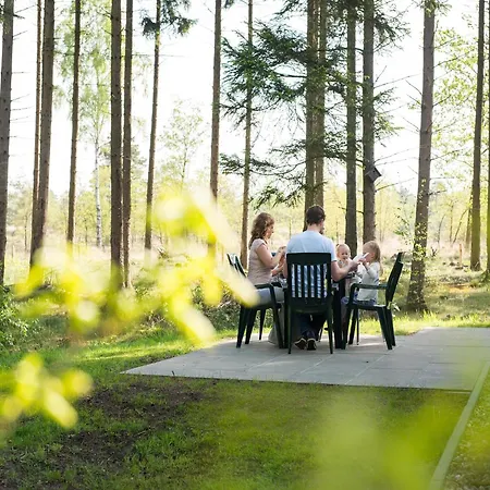 Restyled With Dishwasher, Located On De Veluwe Holiday home *