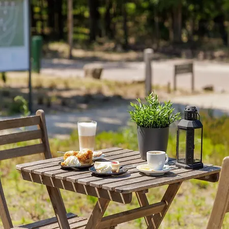 Restyled With Dishwasher, Located On De Veluwe * Hoenderloo